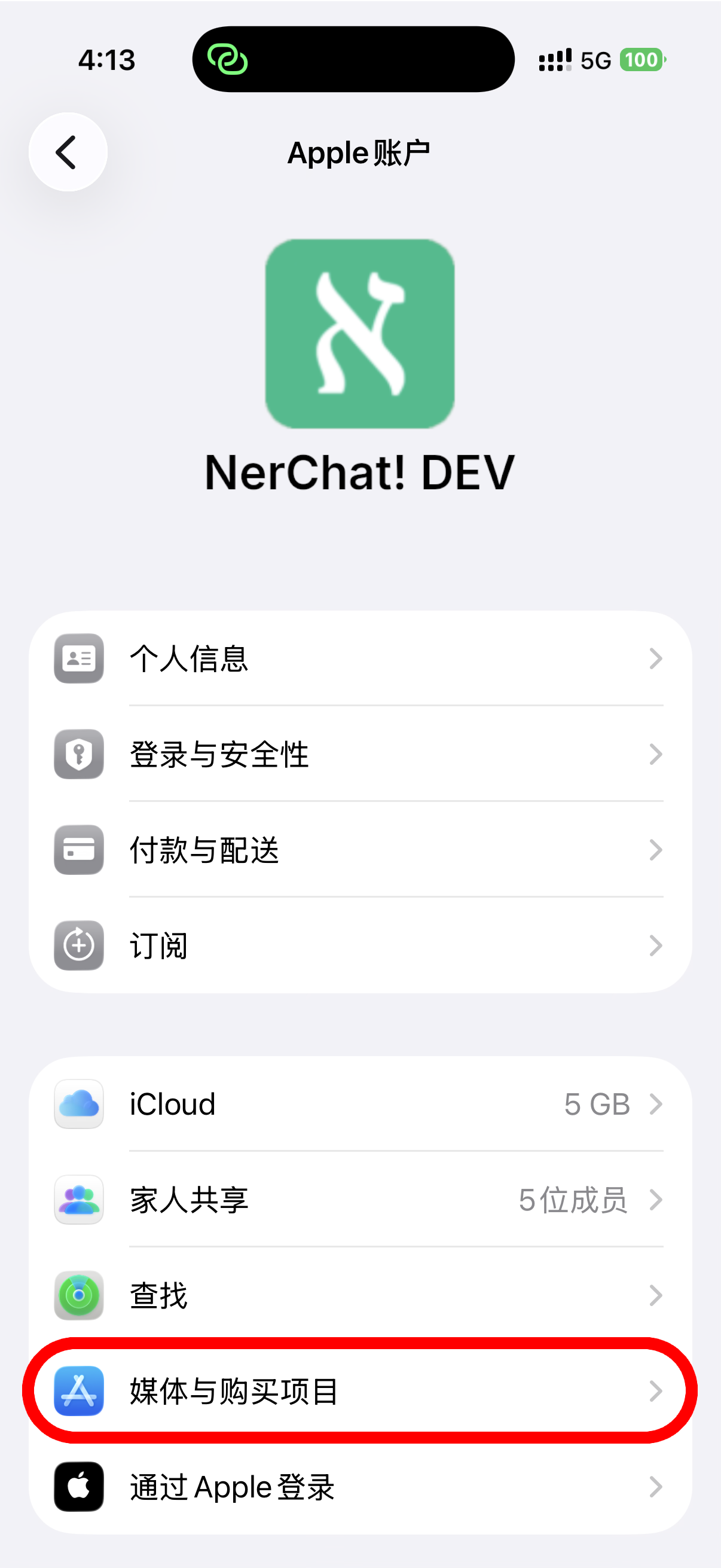 iCloud设置